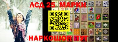 эйфоретик Гатчина