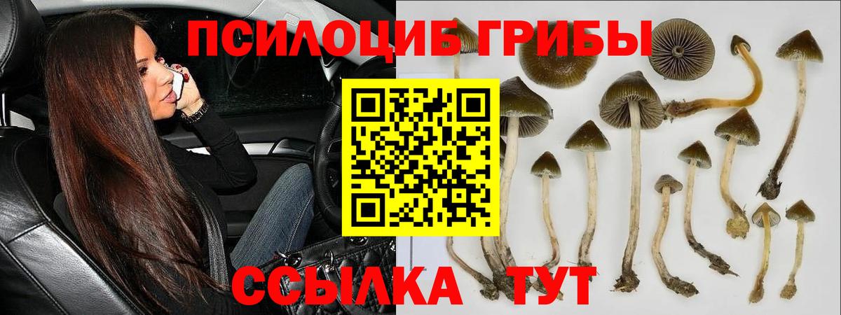 Псилоцибиновые грибы прущие грибы Ялта